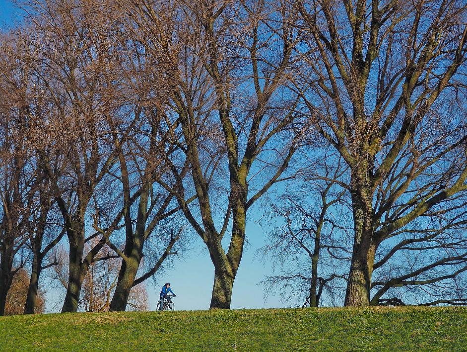 Snelle fietsroutes: de ruggengraat van de Cleantech regio